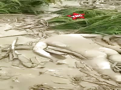 landslide victim in China