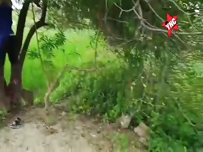 suicide, young man hanging on the tree