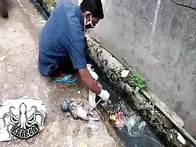 Newborn found in sewage