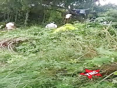 suicidal, young man found hanged in a tree