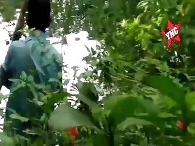 corpse of a woman, found in the water