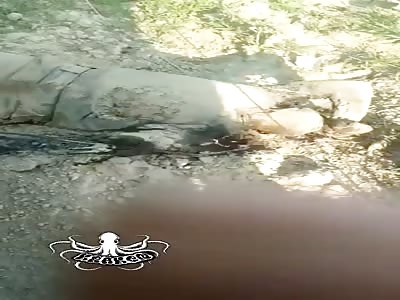 11,000 Volts of Electricity Be Like....