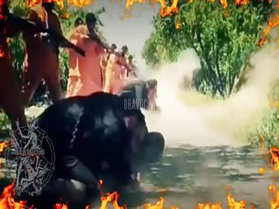 Bravucongx isis compilation 