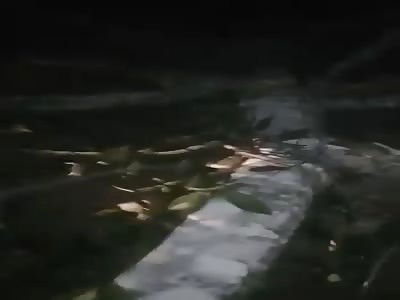 Victim accident fatal