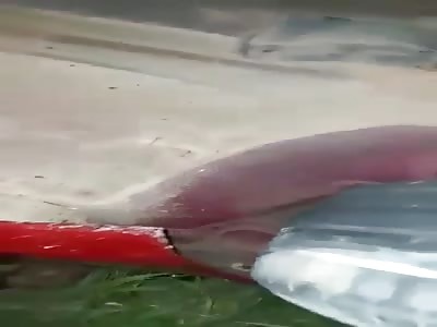 total of five victims killed in tragic vehicle accident