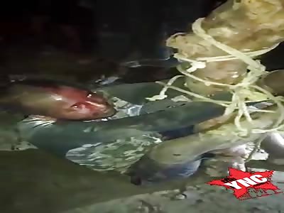 Thief tied to a tree and was beaten.