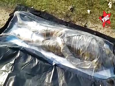 Body in a state of putrefaction