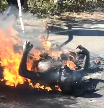 Biker Cooked Extremely Well Done and Extra Crispy