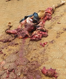 DAMN! ANOTHER GORE MESS