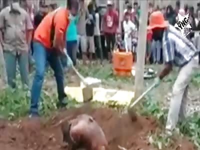 They unearth a body in a state of putrefaction