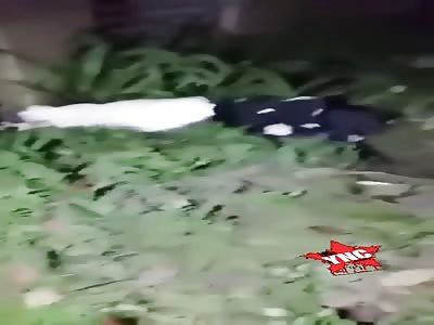 Mother and daughter die after falling from building