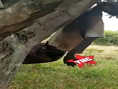 Friend but how bad you look at yourself