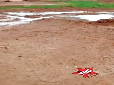 Human remains, bird food