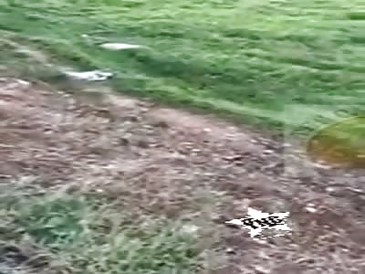 Serious vehicular accident