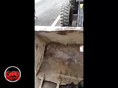 Brutal accident, meat on the road