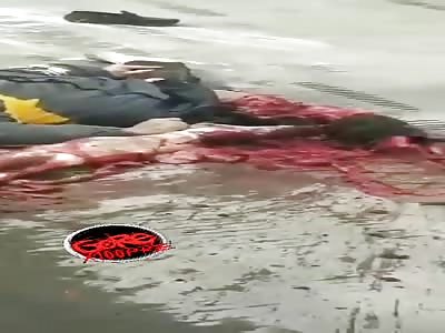 Man made carnage on the road