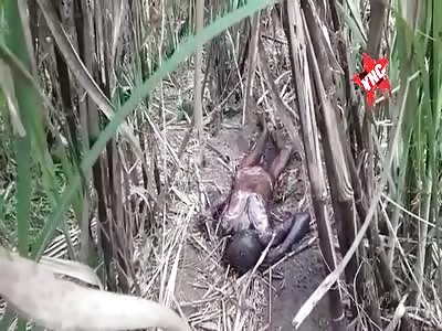 Finding of a semi-burned body