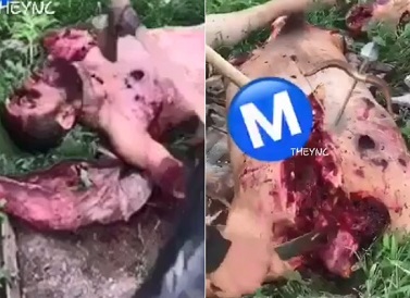 New Brutal Axe Job Of Mexican Traffickers