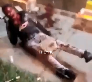 Stoned Sicario Bleeds Like a Pig