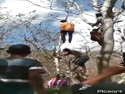 Fuckin 'ornament on the tree