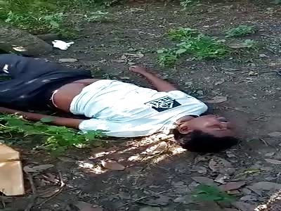 Young man chooses tree to die
