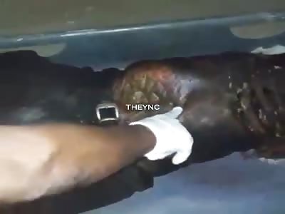 A very stinky friend