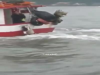 It was a good fishing day