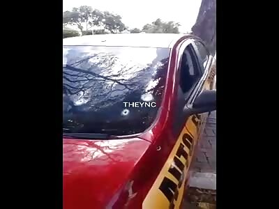 Driver was shot to death