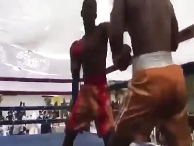 Boxer dies after brutal K.O