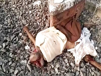 Run over by the train