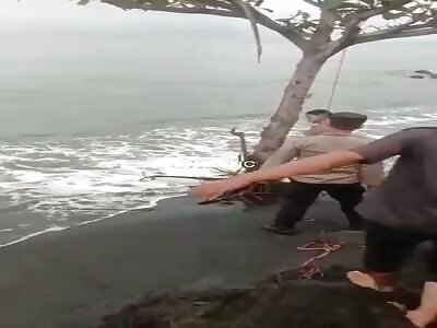 The girl decided to end her life