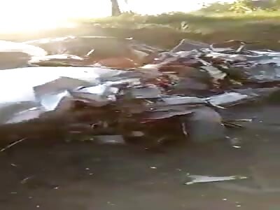 Brutal vehicle accident