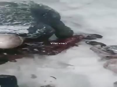 Woman turned into popsicle