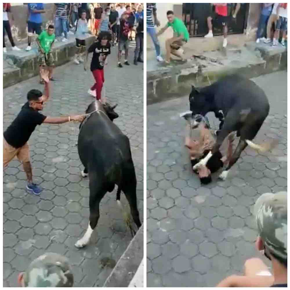 Don't Piss off a BULL! 