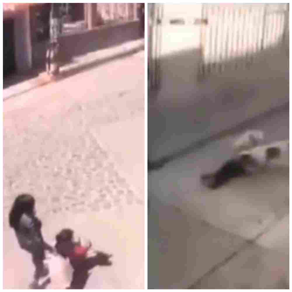 Two-year-old girl attacked by dogs