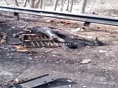 Sequel to Rival Tank Eliminated