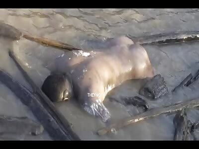 Dead man found in water