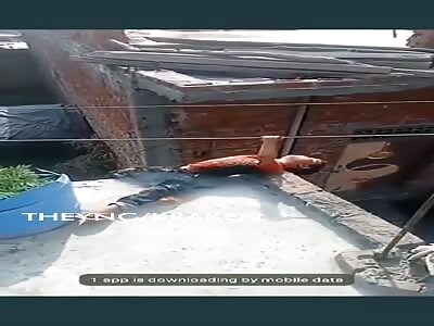 Poor kid, he died for mischief