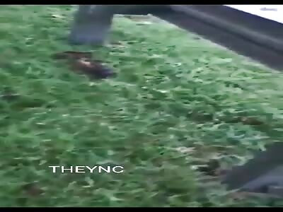 Several killed in accident