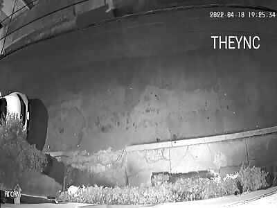 Cell Phone Isn't Worth Your Life.