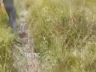 Corpse found in the field