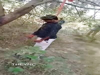 A nice ornament on the tree