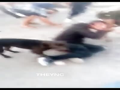 Thief beaten by mob