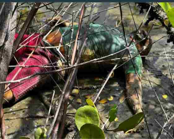 Finding of a man in a state of putrefaction