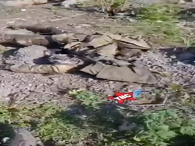 Dead Ukrainian soldiers
