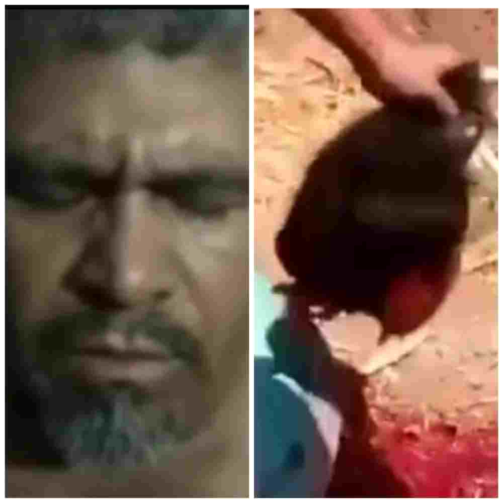 Cjng interrogating and executing Sierra Birds members