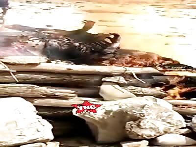 Burned at the Stake like a Witch.