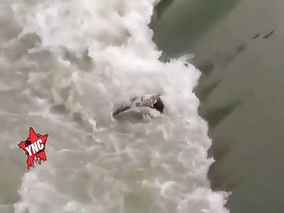 Corpse swimming in the water