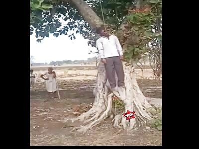 Anyone want a piñata?