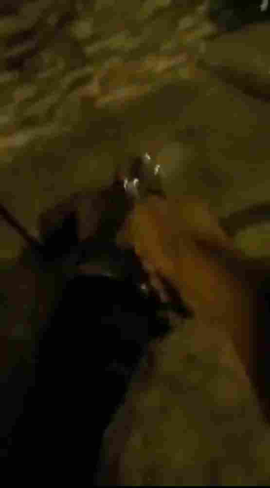 Hitmen secure your job